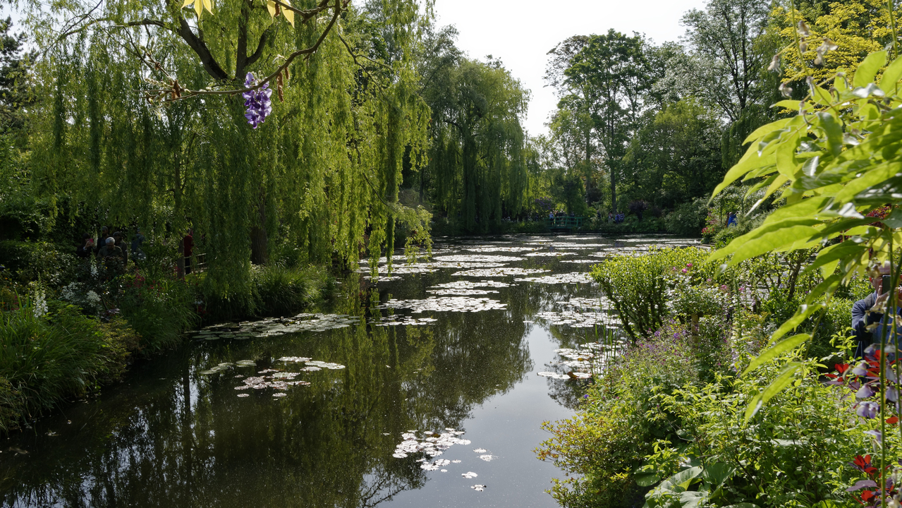 20190529-100011•Giverny (Jardin de Monet)•Limetz-Villez•Ile-de-France•France